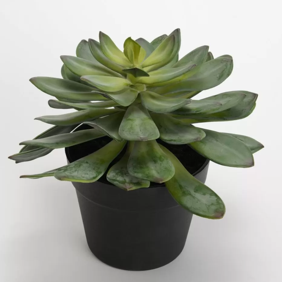 Banak Mato* Plantas Decorativas Artificiales